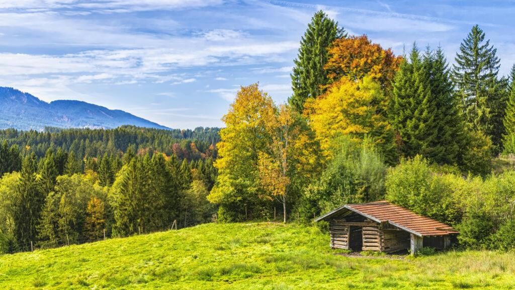How Do You Build a Rainproof Shelter in the Wilderness? How Do You Build a Rainproof Shelter in the Wilderness?